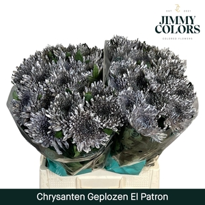 Chr G Topspin El Patron