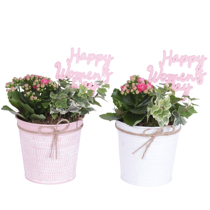 <h4>Womens Day Arr. Indoor Zinc Pot Round Pink/White Ø12cm 2PP</h4>