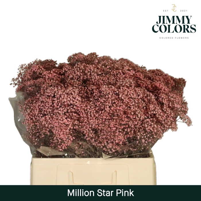 <h4>Gyps Million Star L60 Pink</h4>