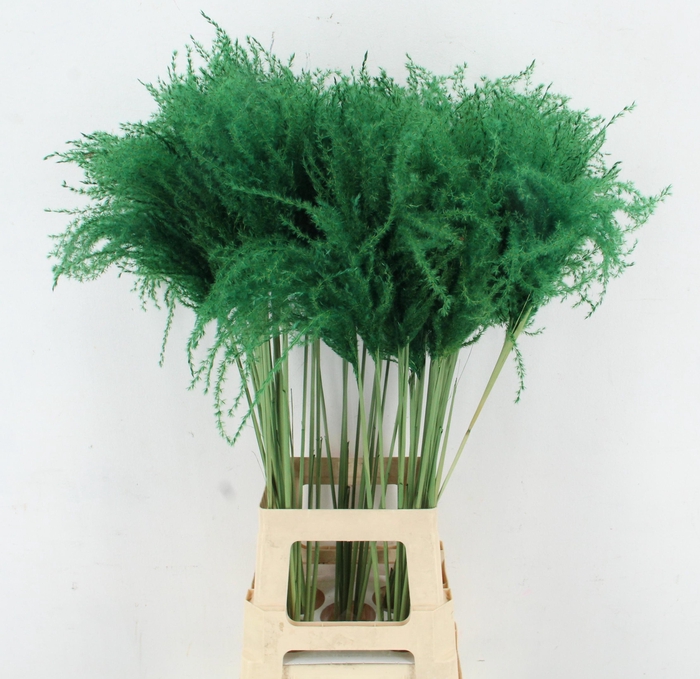 <h4>DROOGBL BEWERKT H%</h4>