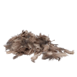 Feahters Chicken Natural 45 Gram