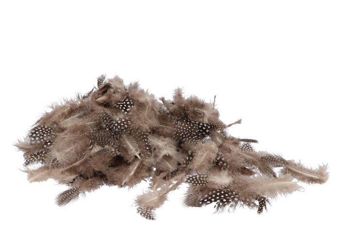 <h4>Feahters Chicken Natural 45 Gram</h4>