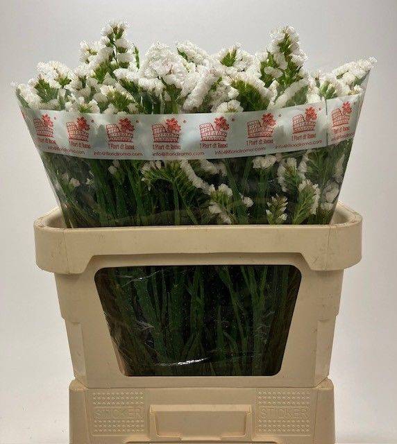 <h4>LIM S ISA WHITE 65gr</h4>