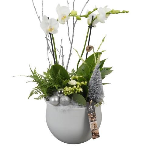<h4>PTCHW4306 Arrangement Christmas White in keramiek pot</h4>