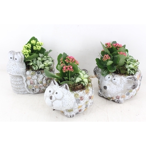 arr2 TD - Dierenmix - roze/wit