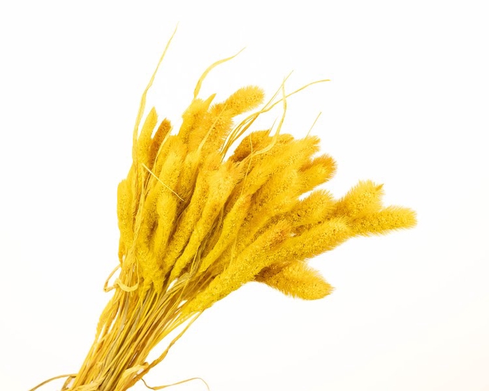 <h4>Setarea Pendula Yellow</h4>