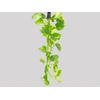 FOLHAGEM JIBOIA 070 CM