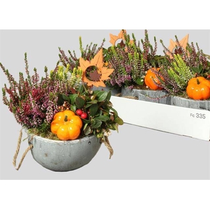 ARR TUINPLANTEN