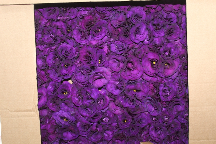 <h4>BUQUE LISIANTHUS CROMA II PURPLE ROXO 000</h4>