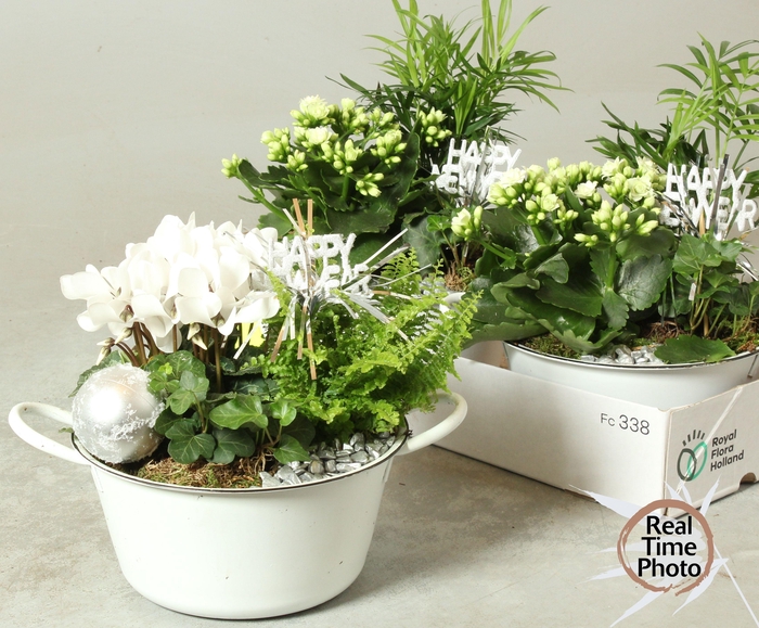 <h4>ARR KAMERPL</h4>