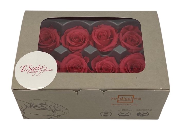 <h4>ARR ROSA POT H%</h4>