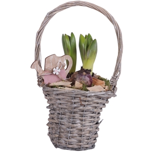 Bulbs Arr. Hyacint Willow Handle Basket Grey Ø15cm 3PP
