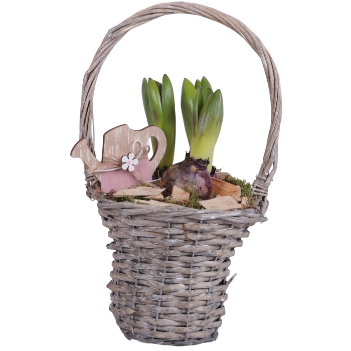 <h4>Bulbs Arr. Hyacint Willow Handle Basket Grey Ø15cm 3PP</h4>