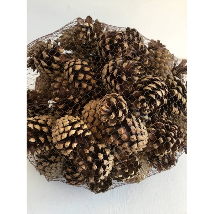 <h4>DENAPPEL SILVESTERS IN NETJE NATURAL 1KG</h4>