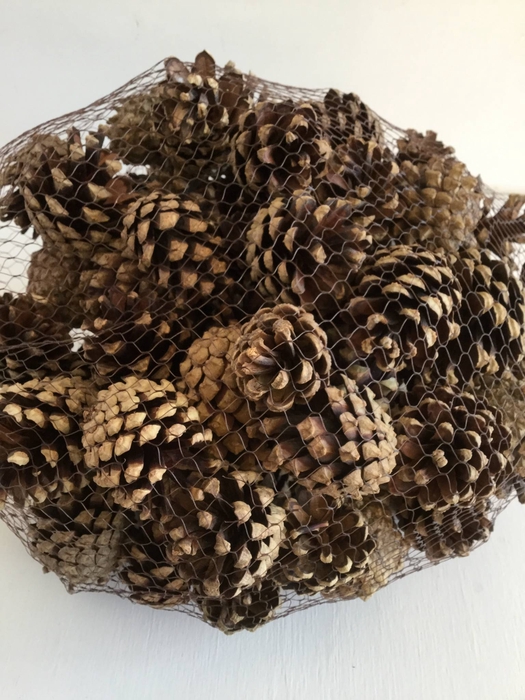 DENAPPEL SILVESTERS IN NETJE NATURAL 1KG