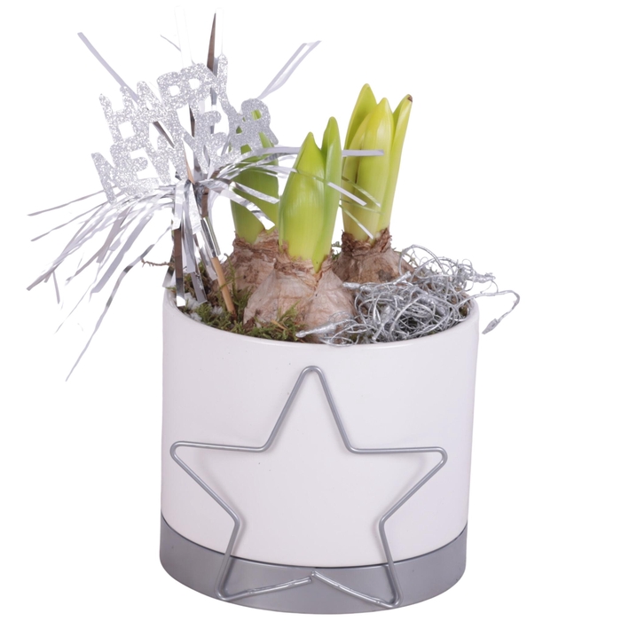 <h4>New Year Arr. Hyacint Ceramic Pot Starframe Silver Ø13cm 3PP</h4>