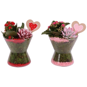 Valentine Arr. Indoor Glass Hourglass Ø16cm 2PP