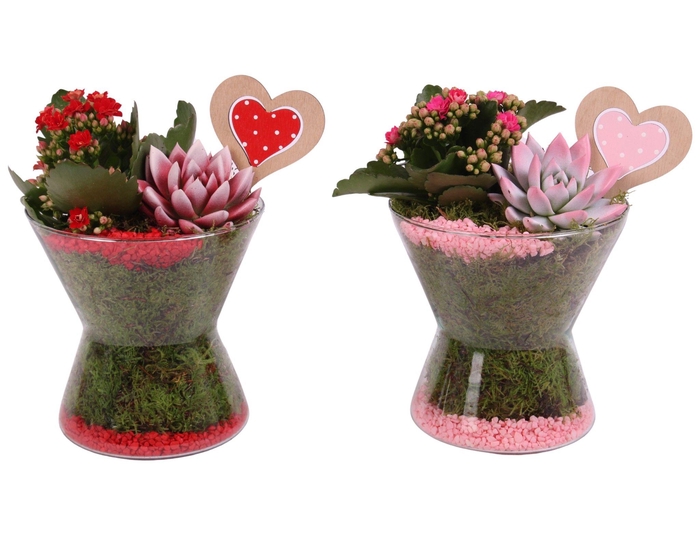 <h4>Valentine Arr. Indoor Glass Hourglass Ø16cm 2PP</h4>