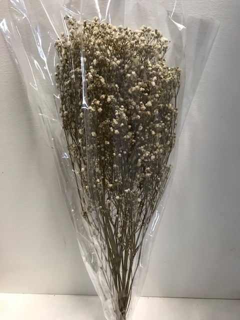 Gypsophila on stem 60gr ivoor