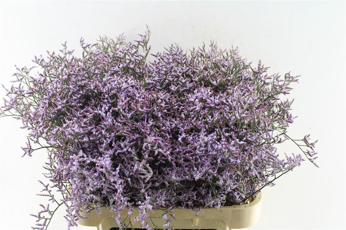 <h4>Lim Saf Lilac 40 Gram</h4>