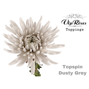Chr G Kbh Topspin Dusty Grey