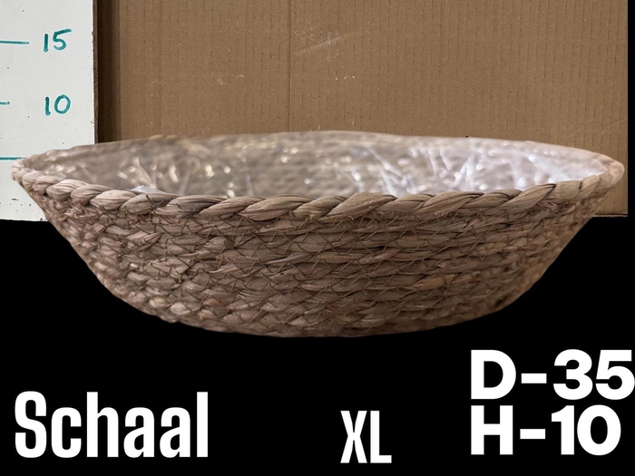 <h4>MANDWERK H%</h4>