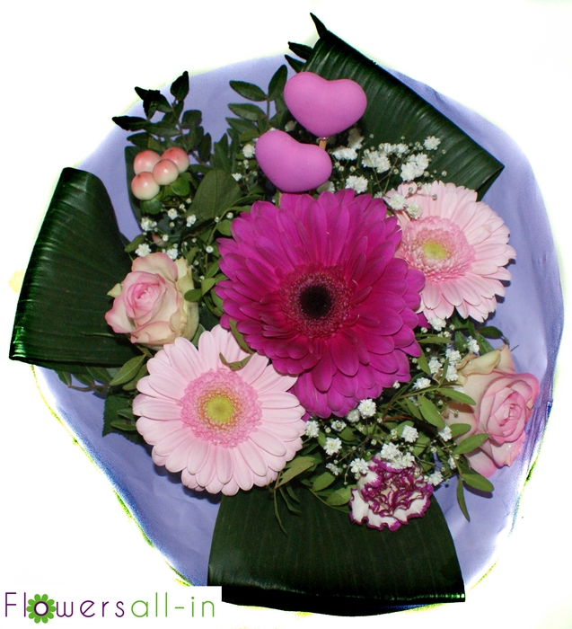 <h4>M202408 Geel</h4>