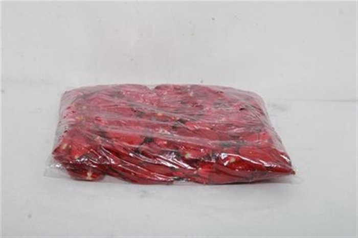 <h4>Rose Petals Red</h4>