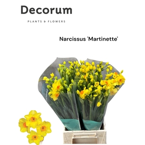 NARC TA MARTINETTE SUPER