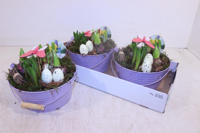 <h4>ARR BOL KNOLGEWAS</h4>