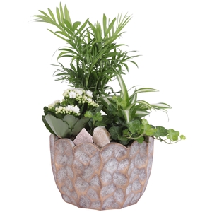 Yearround Arr. Indoor Ceramic Pure Luxury PL670 Ø21cm 4PP