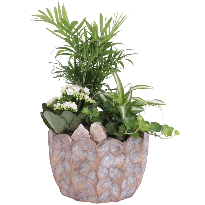 <h4>Yearround Arr. Indoor Ceramic Pure Luxury PL670 Ø21cm 4PP</h4>