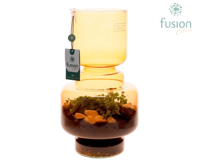 <h4>Green Bottle Lotte Large bruin met Pilea</h4>