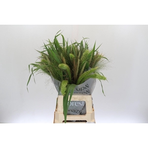 Grasses mix in bucket