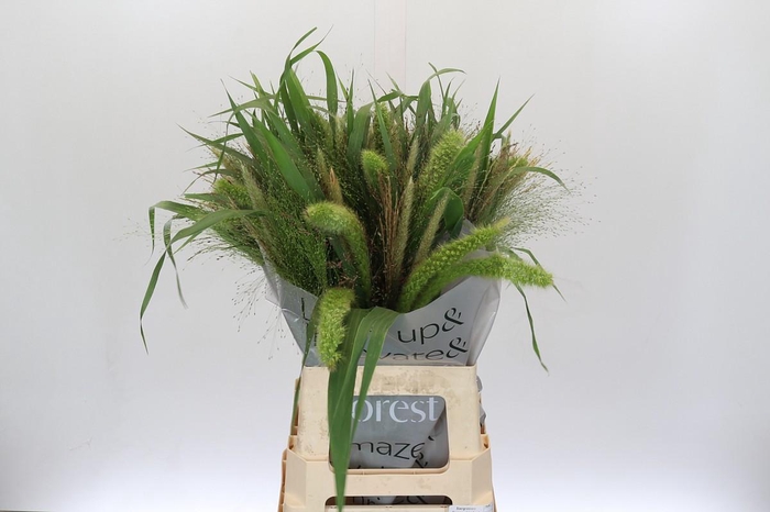 Grasses mix in bucket