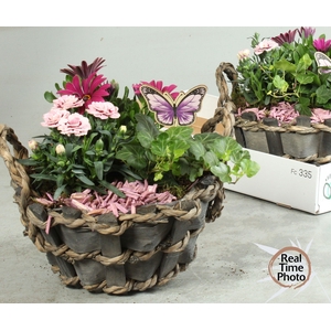 ARR TUINPLANTEN