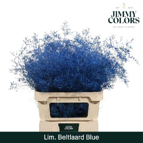 <h4>Lim Bel L90 Blue</h4>