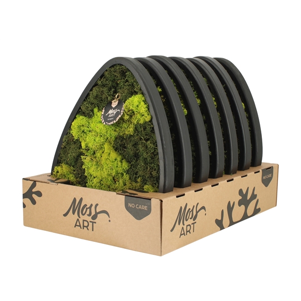 <h4>90783: Moss Art arrangement D39</h4>