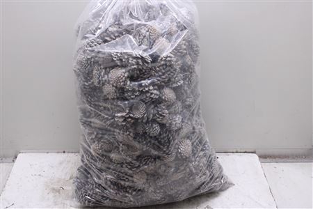 <h4>Oostenrijkers Frosted 10 Kg</h4>