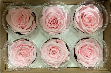 <h4>Pr 1 Pin89 Xl</h4>