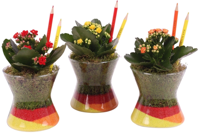 <h4>Thank you Teacher Arr. Indoor Glass Hourglass ø13cm 1PP</h4>