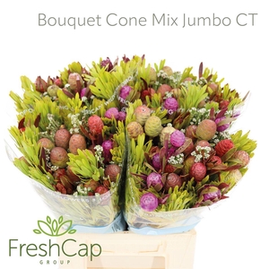 Bouquet Cone Mix Jumbo Colour Treated