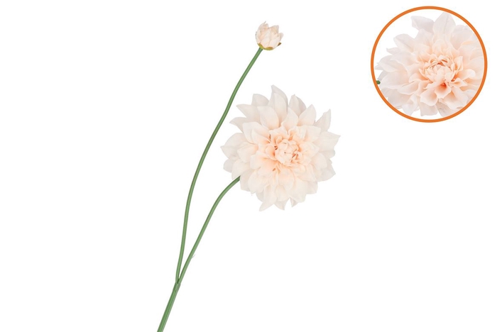 <h4>Silk Dahlia Spike Champagne 78cm Nm</h4>