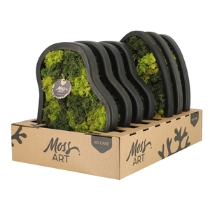 90785: Moss Art arrangement D36