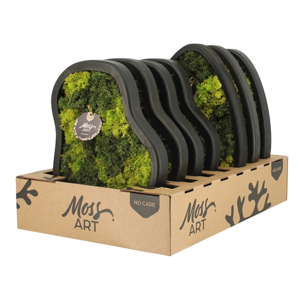 <h4>90785: Moss Art arrangement D36</h4>