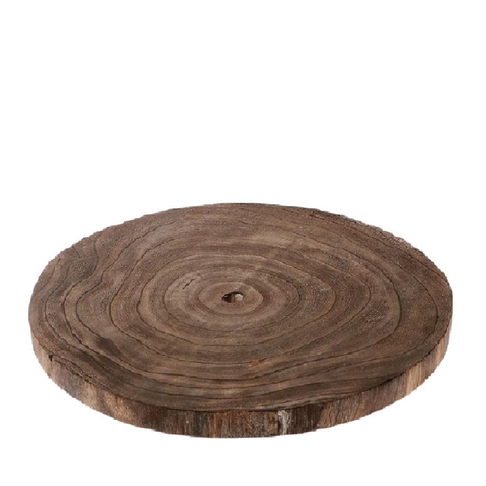 <h4>Dried articles Wood slice Appolonia 44-46cm</h4>
