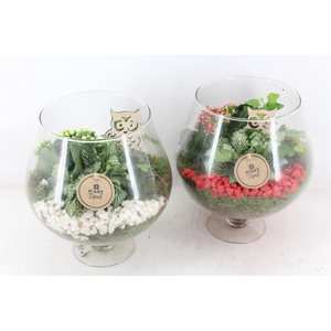 arr2 PL - Glas cognac x2 - rood/wit