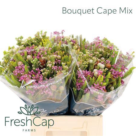 <h4>Bouquet Cape Mix</h4>