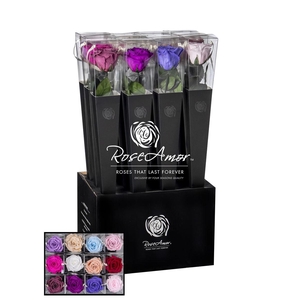 Lori 50cm Assorted Pastel