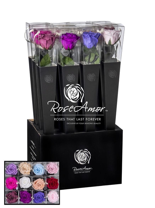 <h4>Lori 50cm Assorted Pastel</h4>